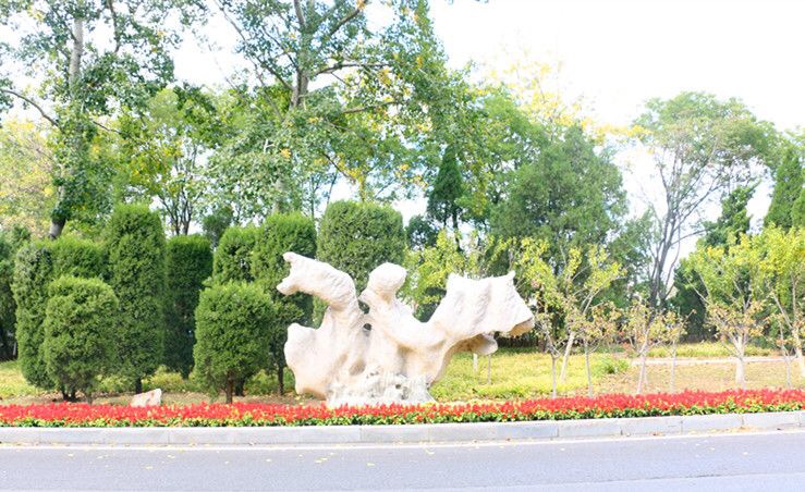 welcome-