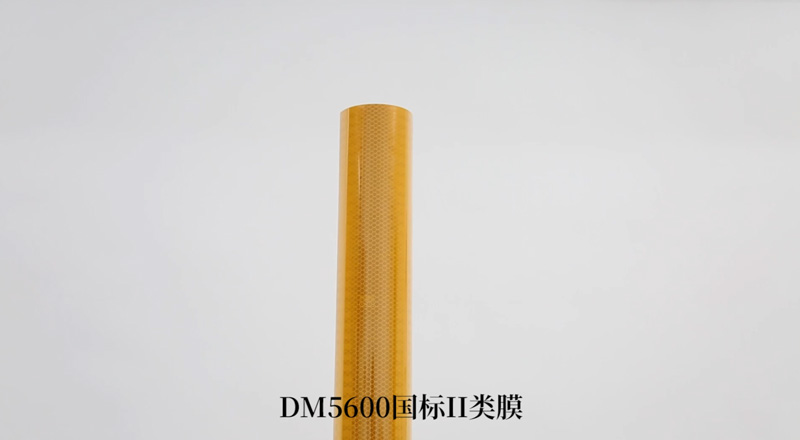 DM5600II೬ǿ΢⾵Ĥ