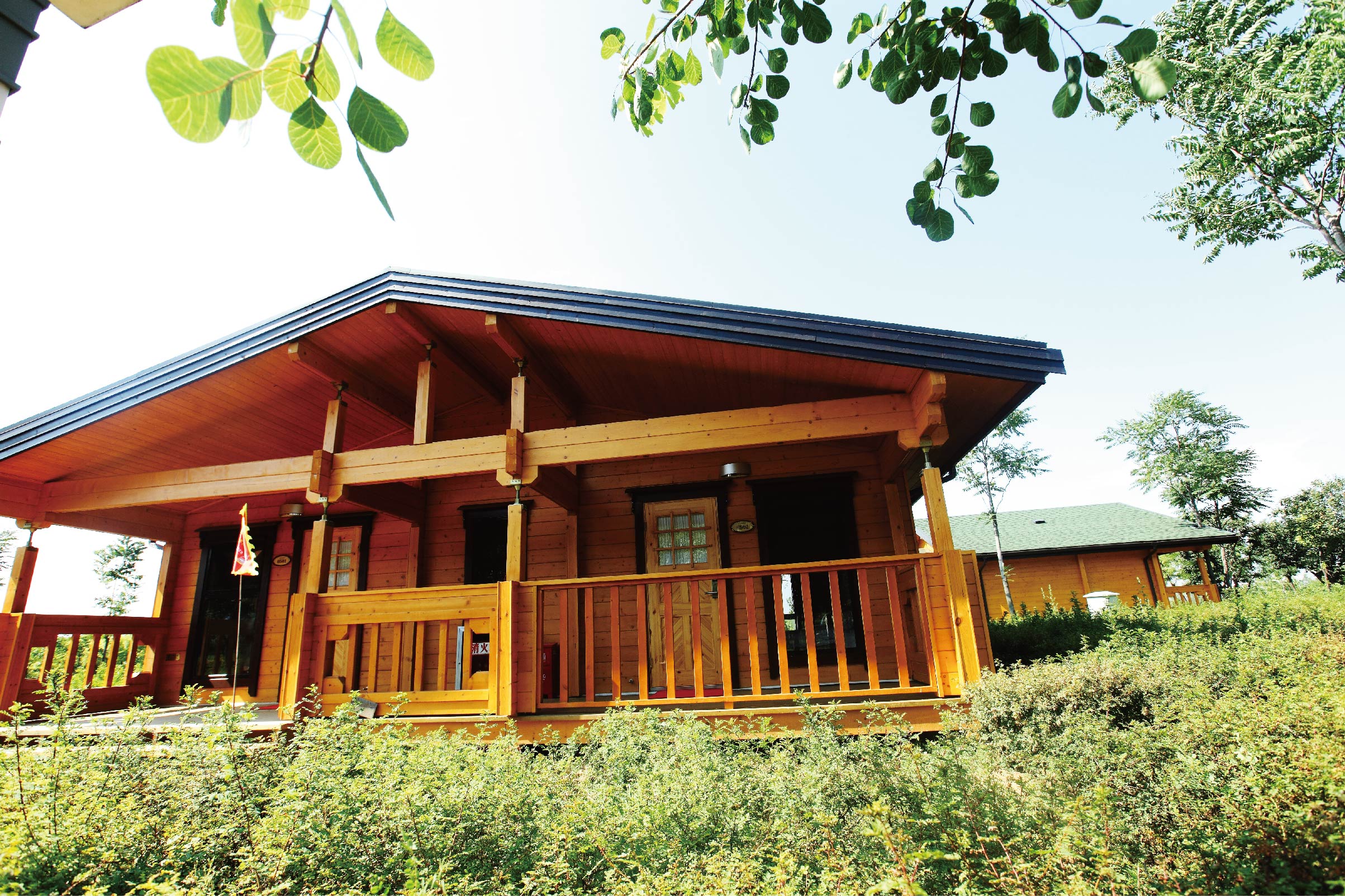 welcome-
