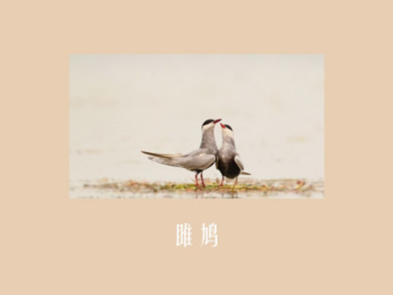 welcome-球速体育